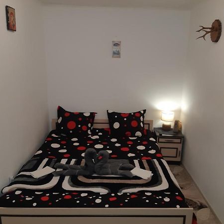 Florin Apartament Sighişoara Extérieur photo