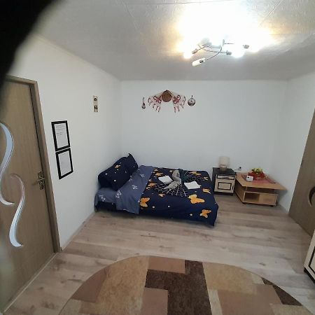 Florin Apartament Sighişoara Extérieur photo