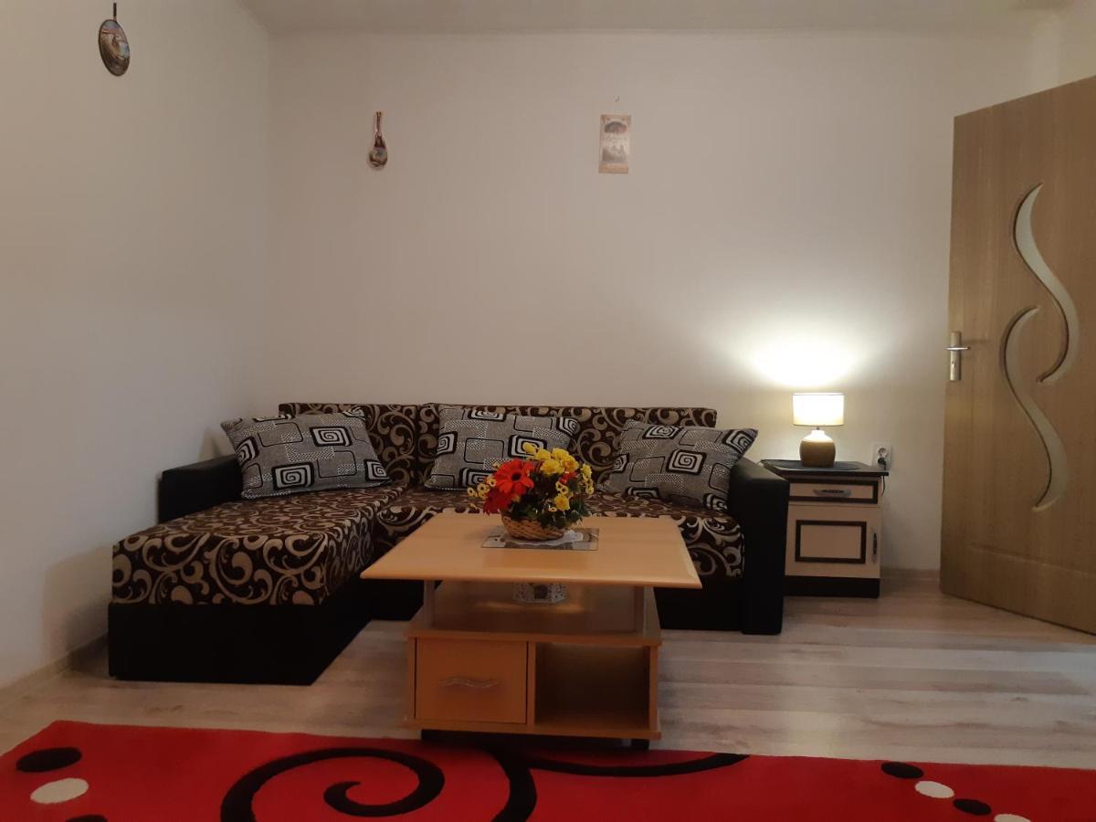Florin Apartament Sighişoara Extérieur photo