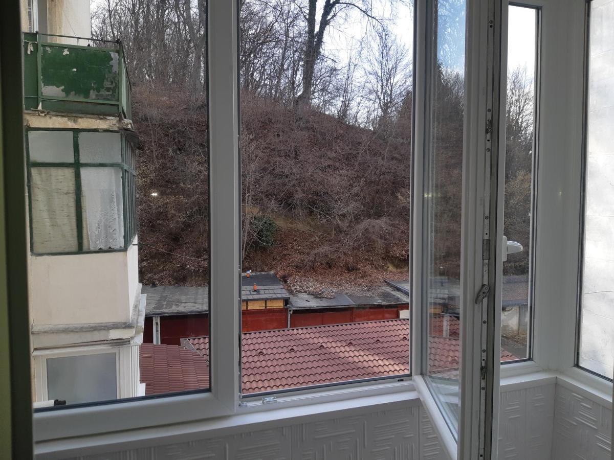 Florin Apartament Sighişoara Extérieur photo