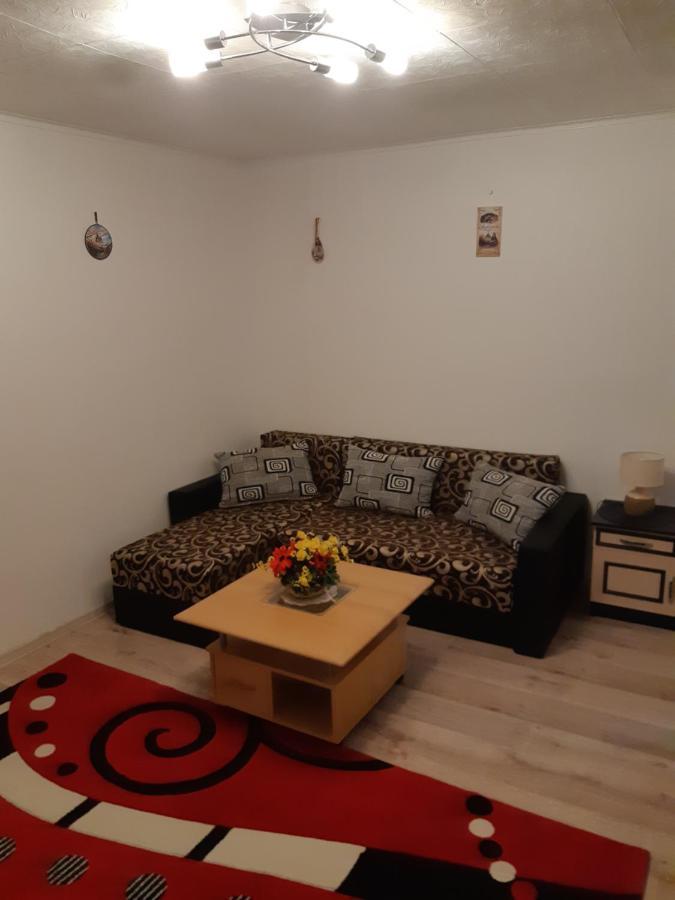 Florin Apartament Sighişoara Extérieur photo