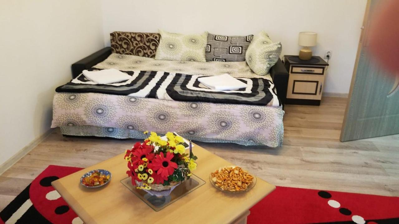 Florin Apartament Sighişoara Extérieur photo