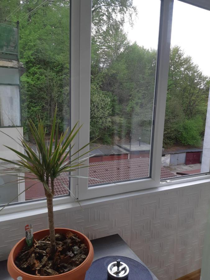 Florin Apartament Sighişoara Extérieur photo