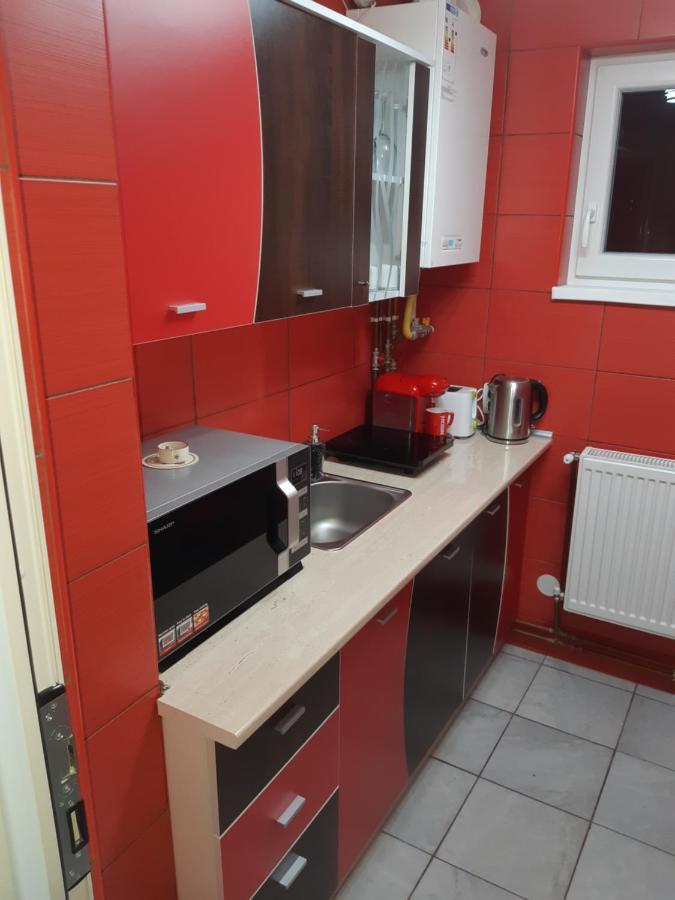 Florin Apartament Sighişoara Extérieur photo