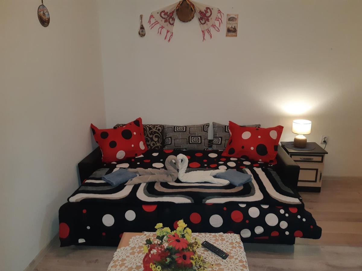 Florin Apartament Sighişoara Extérieur photo