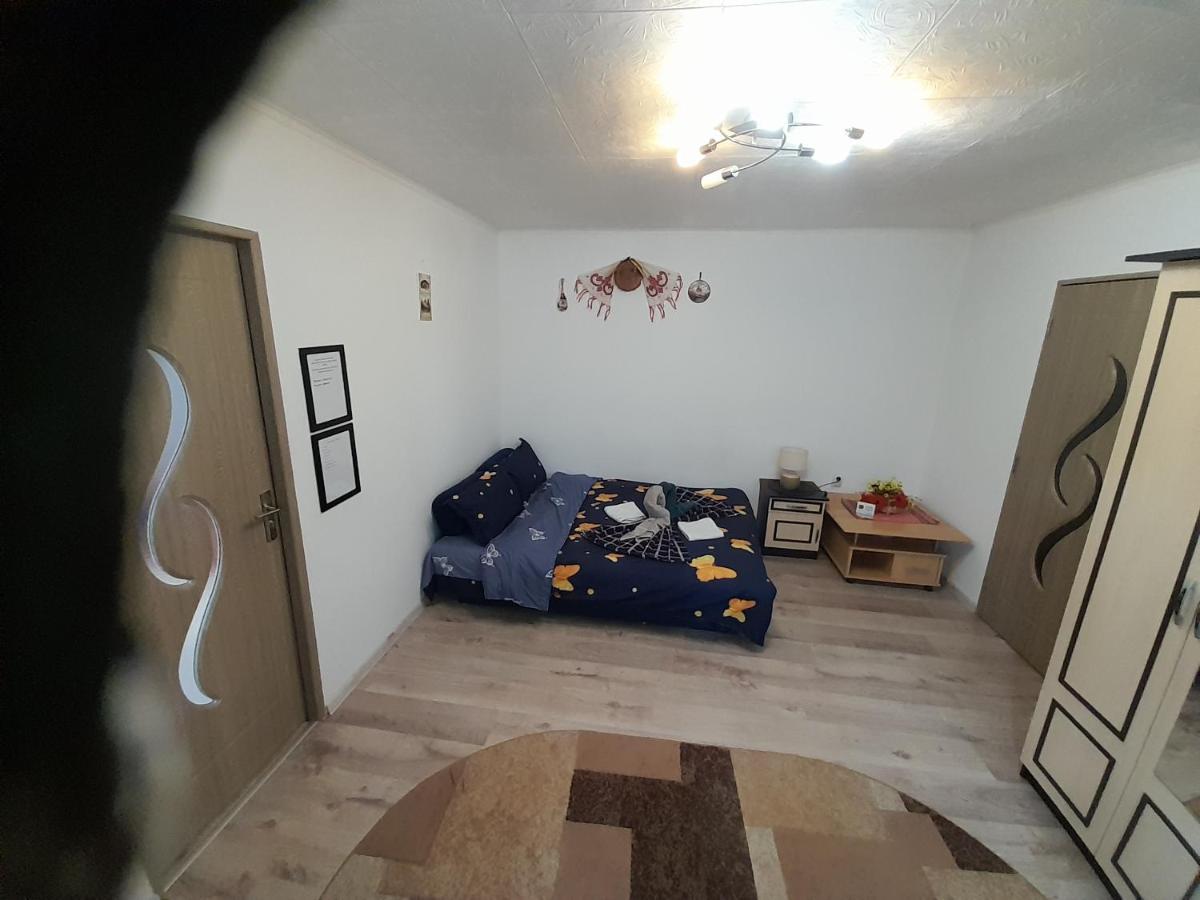 Florin Apartament Sighişoara Extérieur photo