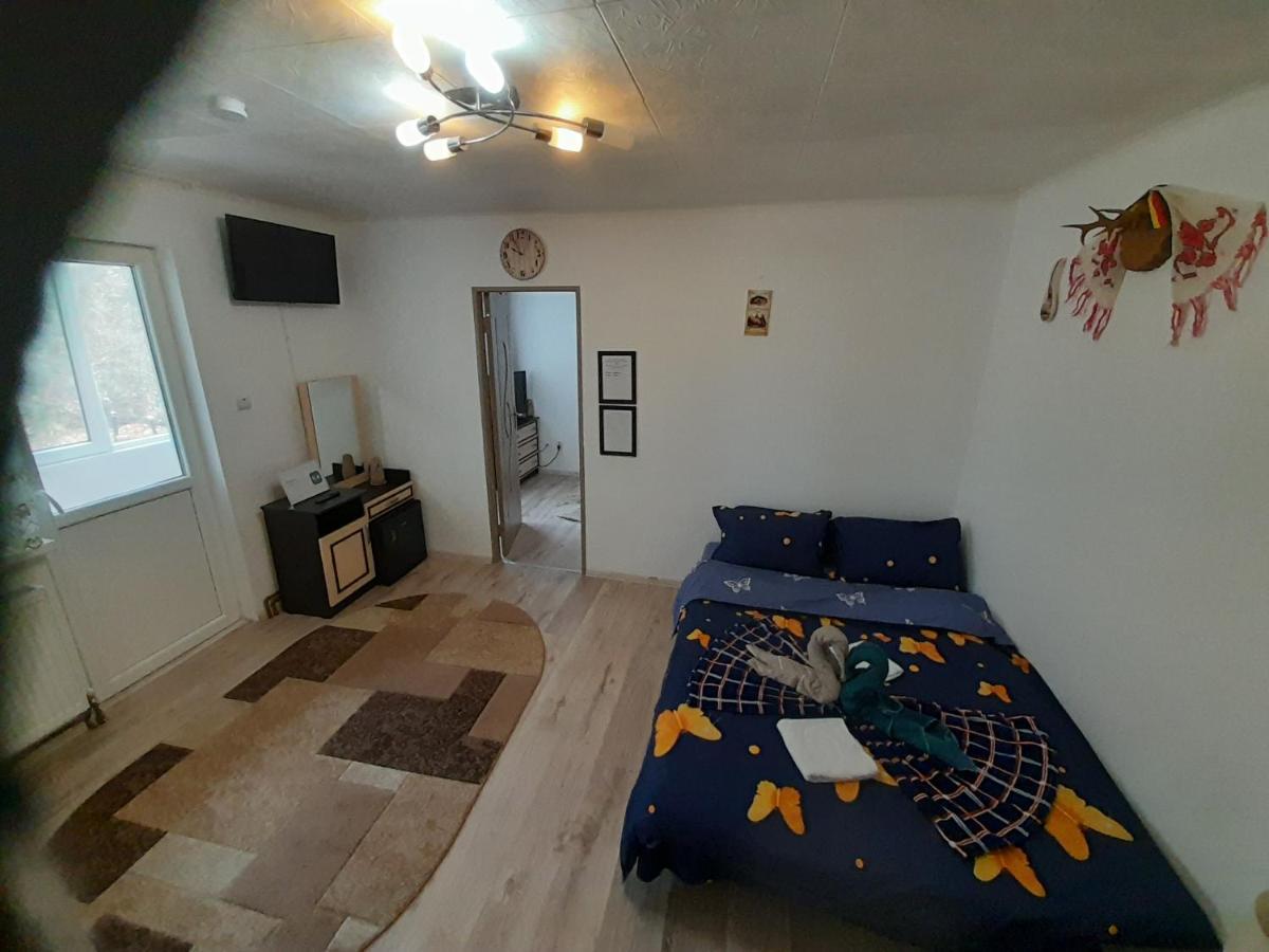 Florin Apartament Sighişoara Extérieur photo